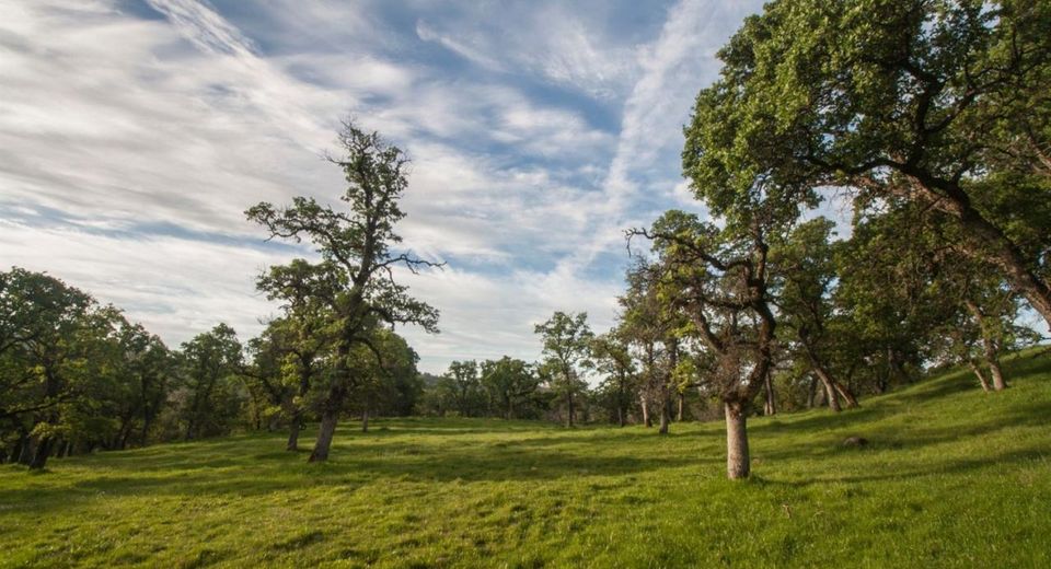 4 Ranch Dutch Flat Trl, Smartville, CA 95977 Photo