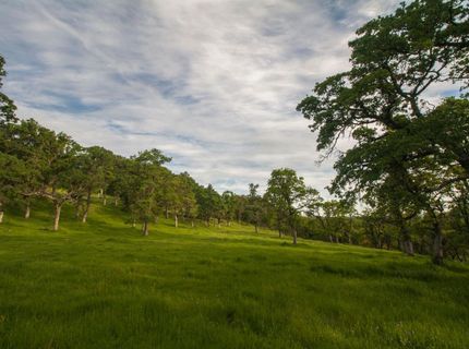 4 Ranch Dutch Flat Trl, Smartville, CA 95977 Photo