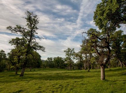 4 Ranch Dutch Flat Trl, Smartville, CA 95977 Photo