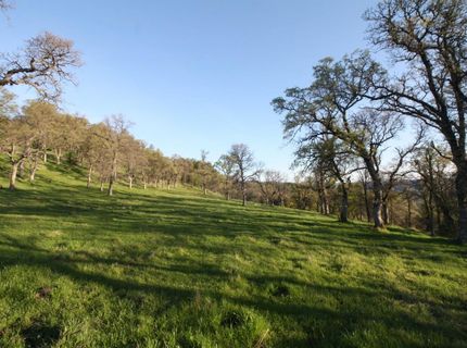 4 Ranch Dutch Flat Trl, Smartville, CA 95977 Photo