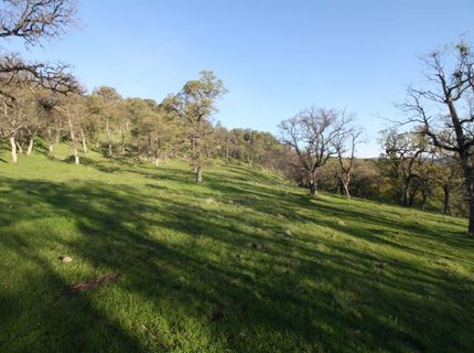 4 Ranch Dutch Flat Trl, Smartville, CA 95977 Photo