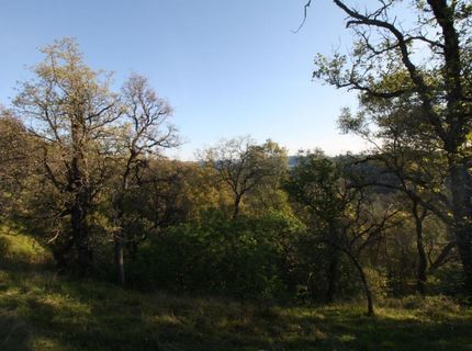 4 Ranch Dutch Flat Trl, Smartville, CA 95977 Photo