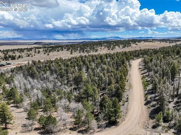 1430 Singletree Road, Hartsel, CO 80449