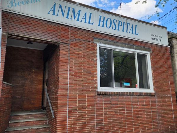 17 W Grand Street, Mount Vernon, NY 10552