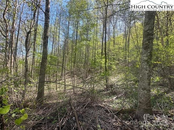 TBD Quail Hollow Drive, Jefferson, NC 28640