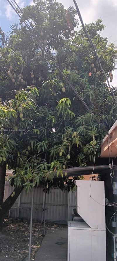 940 E 9th Pl, Hialeah, FL 33010 Photo