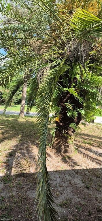 315 Cleveland Ave, Lehigh Acres, FL 33936 Photo