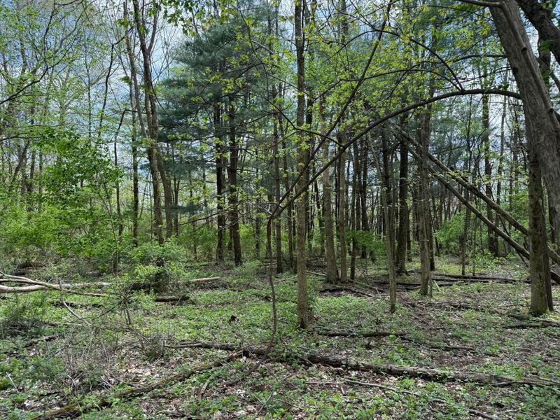 0 Dutch Lane NW, Johnstown, OH 43031 Photo 3