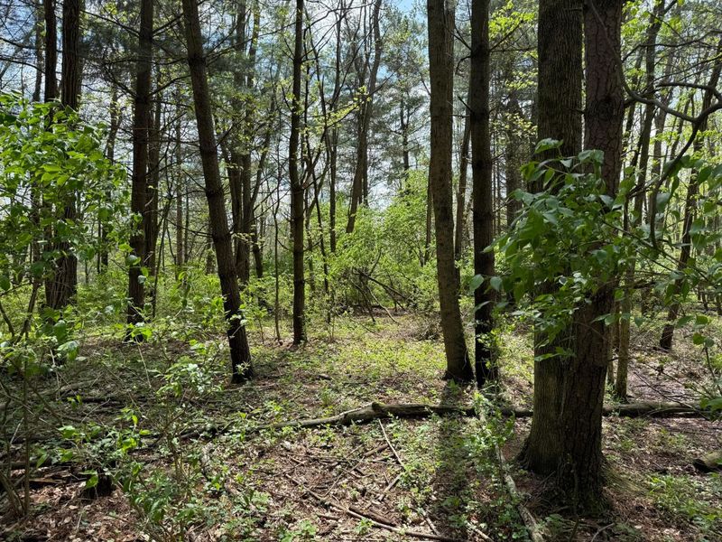 0 Dutch Lane NW, Johnstown, OH 43031 Photo 4