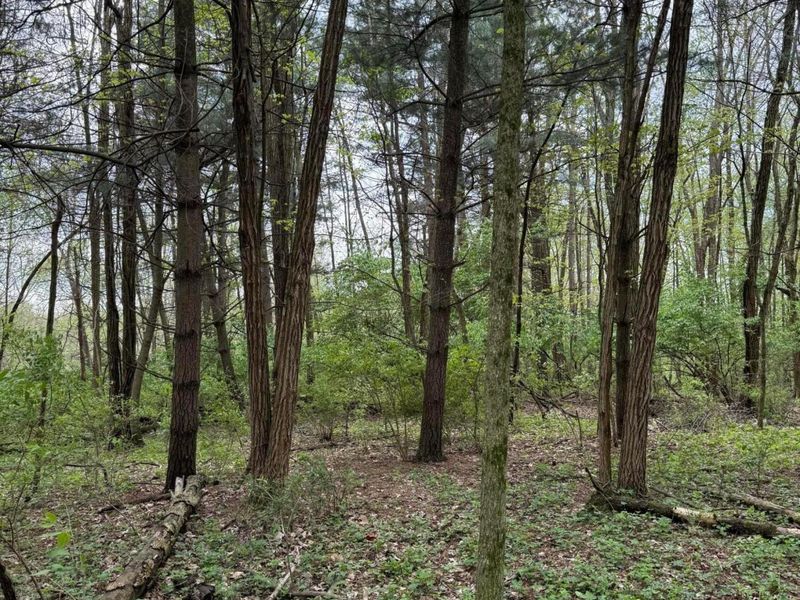 0 Dutch Lane NW, Johnstown, OH 43031 Photo 5