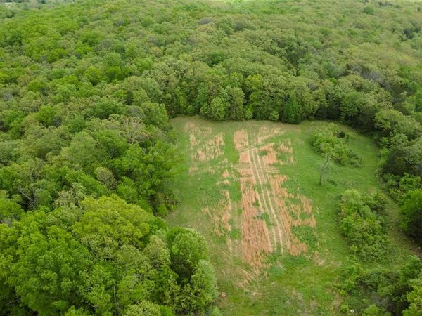 0 Blackberry Hills Rd, Bloomsdale, MO 63627