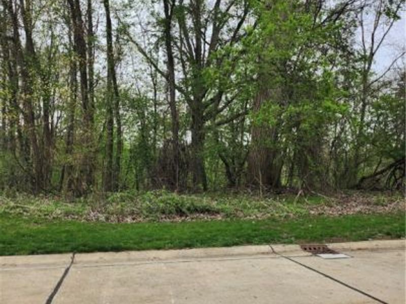 Stonebridge Drive, Amherst, OH 44001 Photo 1