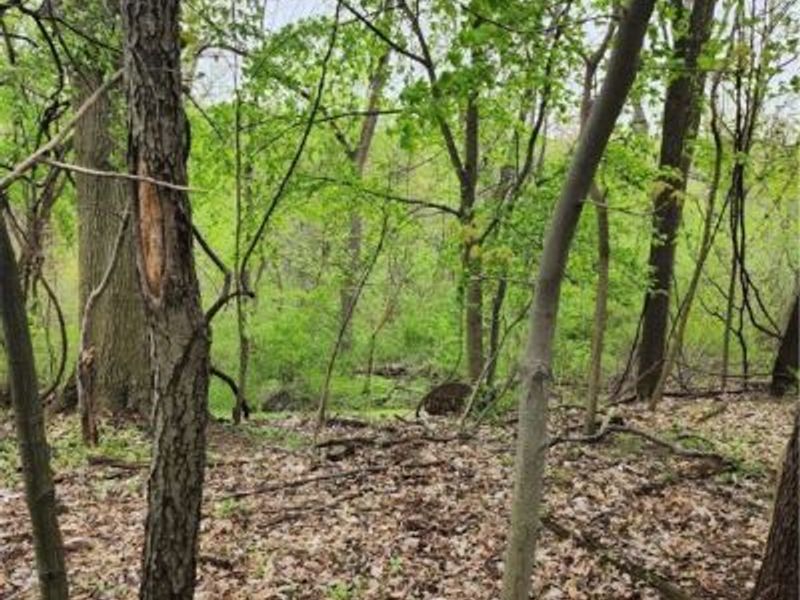 Stonebridge Drive, Amherst, OH 44001 Photo 2