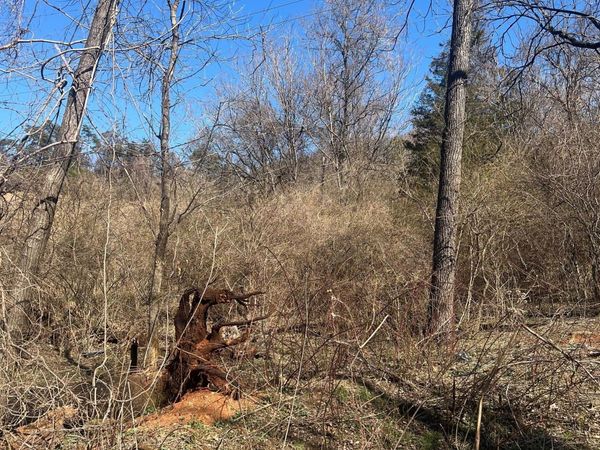 0 Old Rocky Mount RD SW, Roanoke, VA 24014