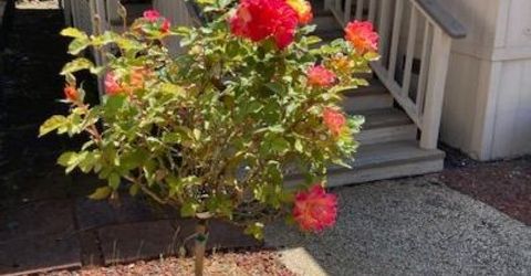 10365 Dalewood Way, Grass Valley, CA 95949 Photo