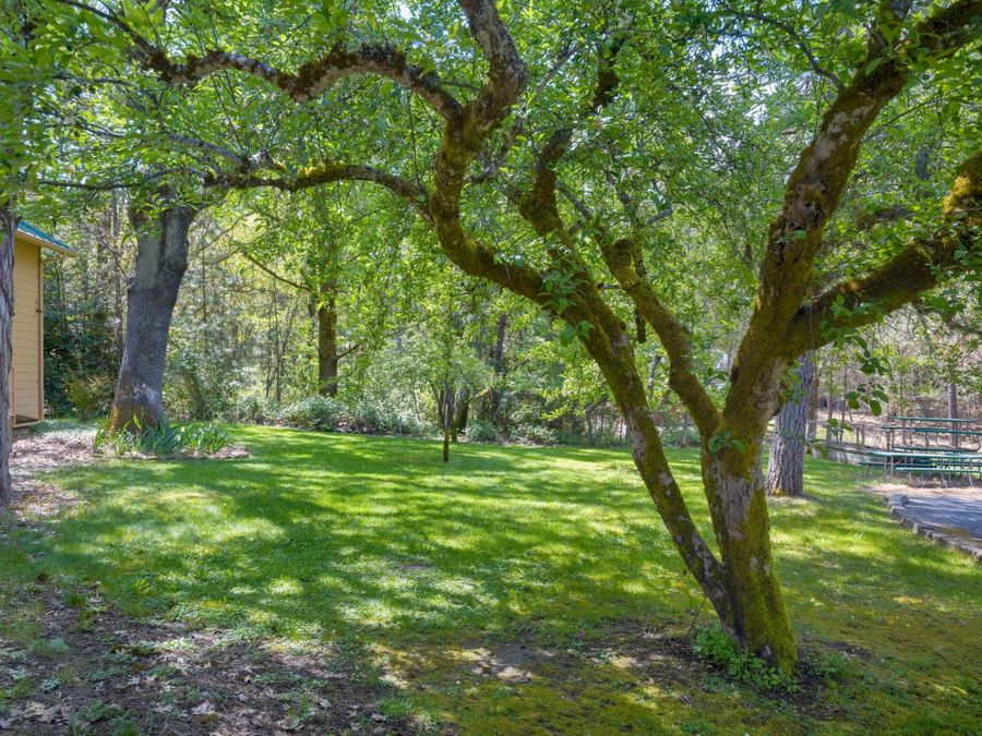 Property Image 65