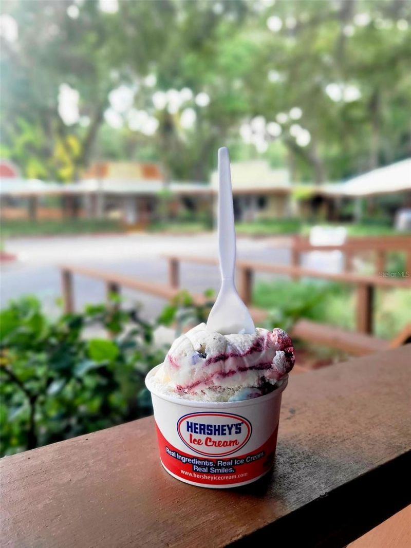 376 Bear Trail, River Ranch, FL 33867 Photo