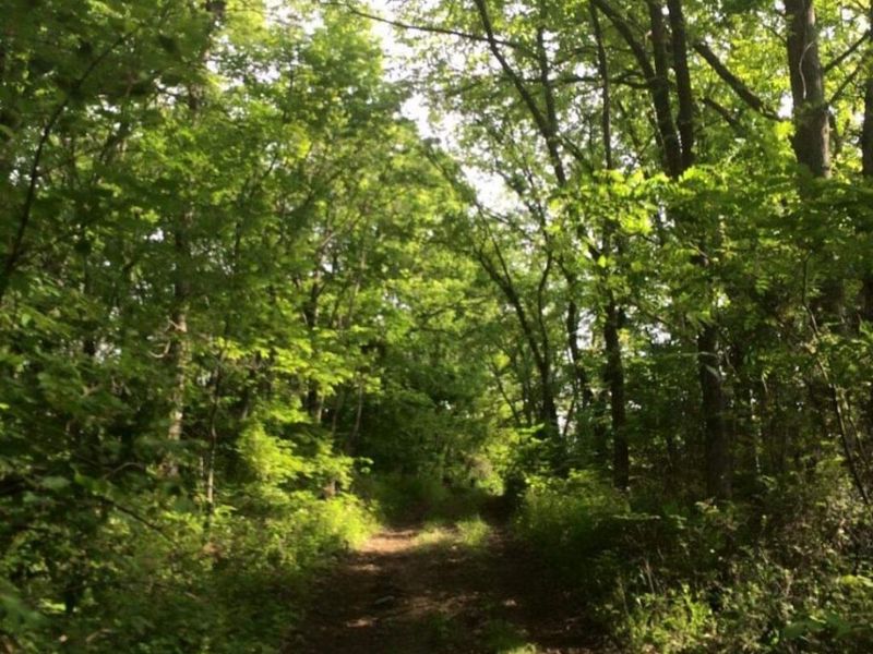 220 Old Eagle Tunnel Road, Glencoe, KY 41046 Photo 36