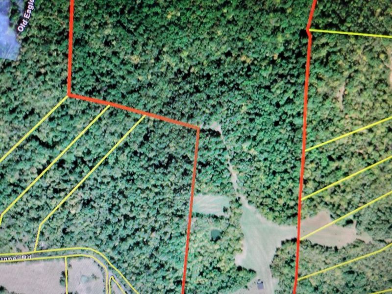 220 Old Eagle Tunnel Road, Glencoe, KY 41046 Photo 4