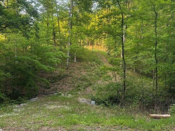 6.96 Star Point Road, Byrdstown, TN 38549