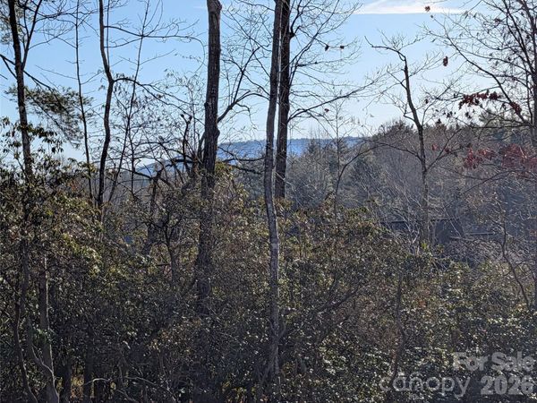00 Winterberry Drive, Hendersonville, NC 28739
