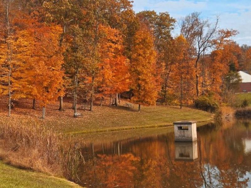 8762 Foxglove Lane, Miami Twp, OH 45002 Photo 51