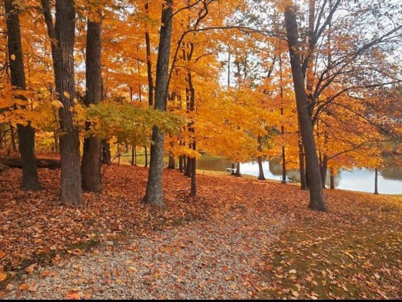 8762 Foxglove Lane, Miami Twp, OH 45002 Photo 52