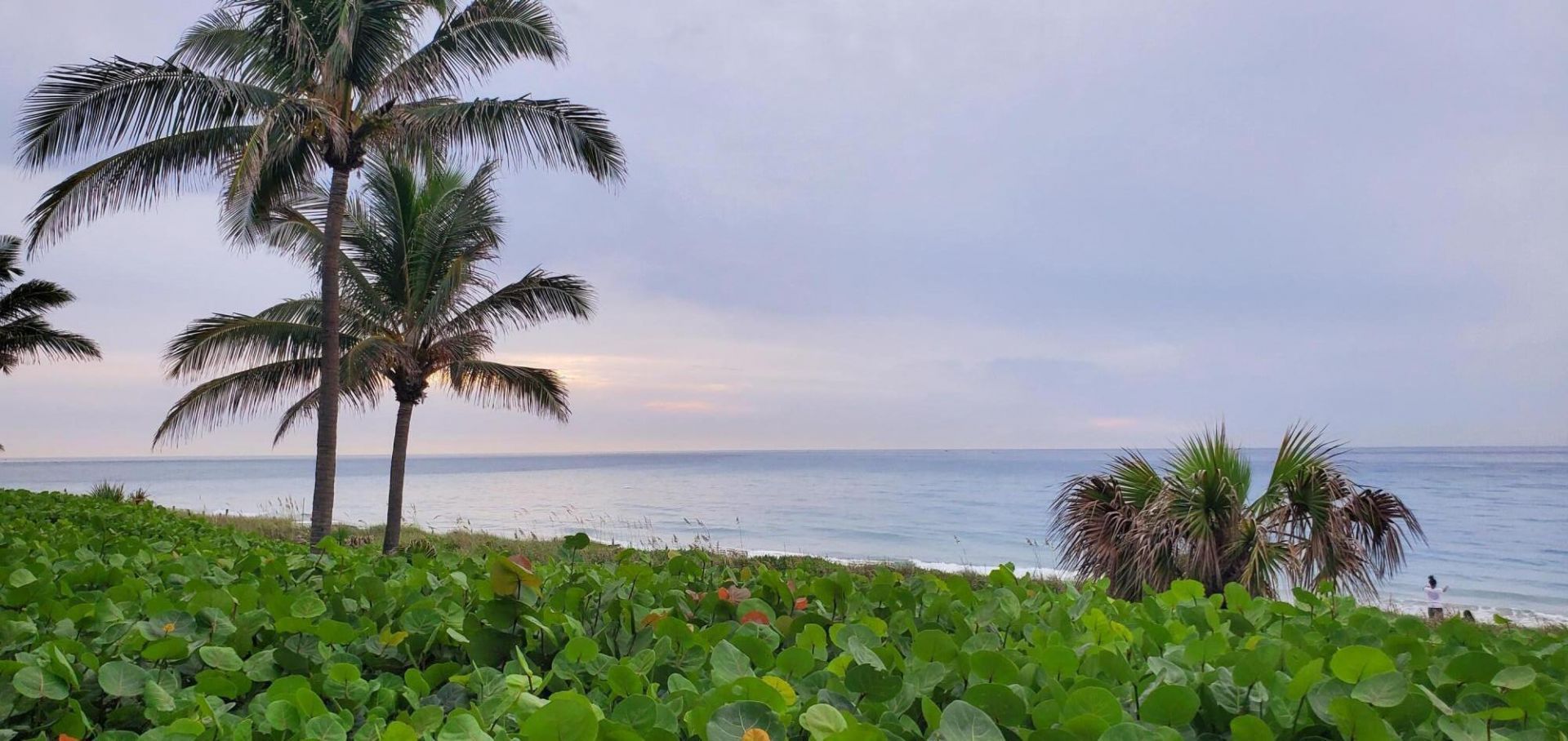 740 E Ocean Avenue, Unit 109, Boynton Beach, FL 33435 Photo