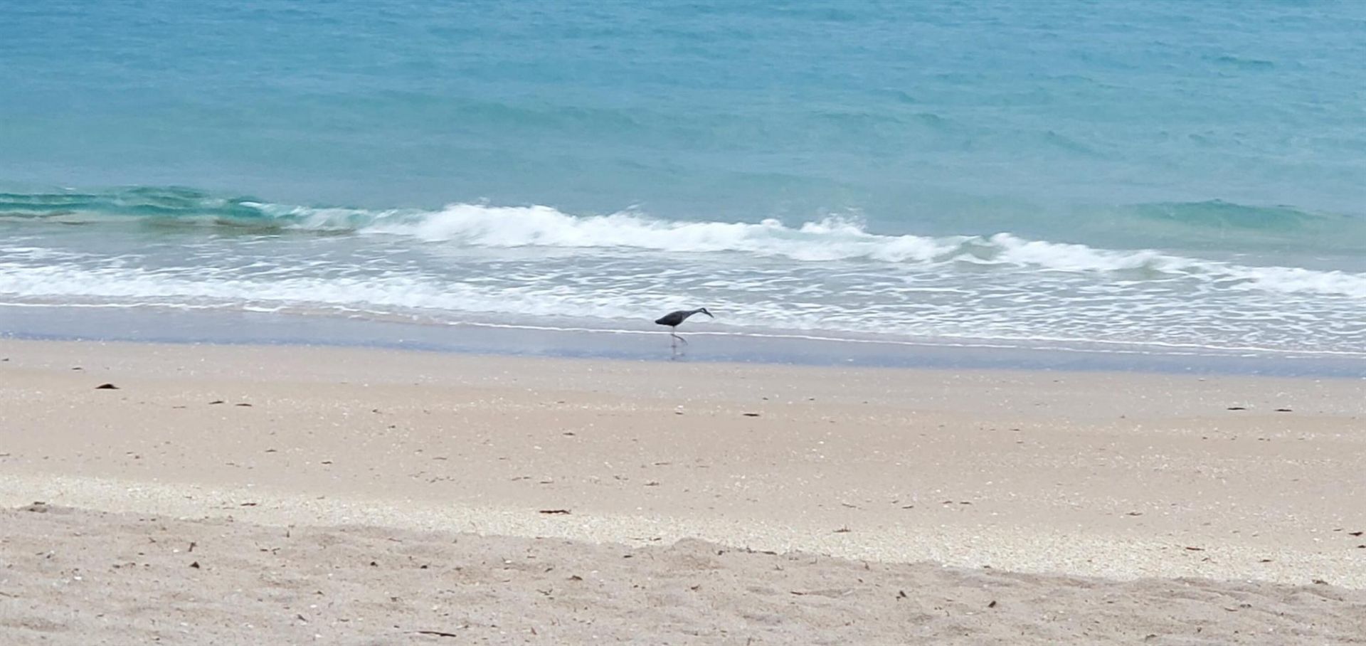 740 E Ocean Avenue, Unit 109, Boynton Beach, FL 33435 Photo