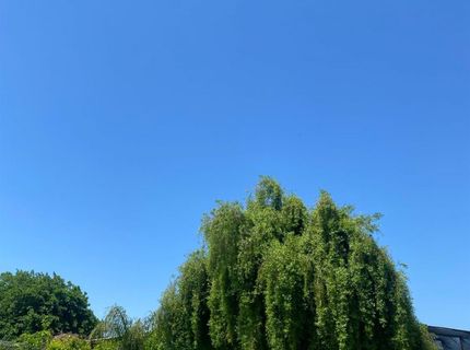 6289 Monica Way, Winton, CA 95388 Photo