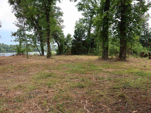 LOT 29 CATFISH LN, Crump, TN 38327