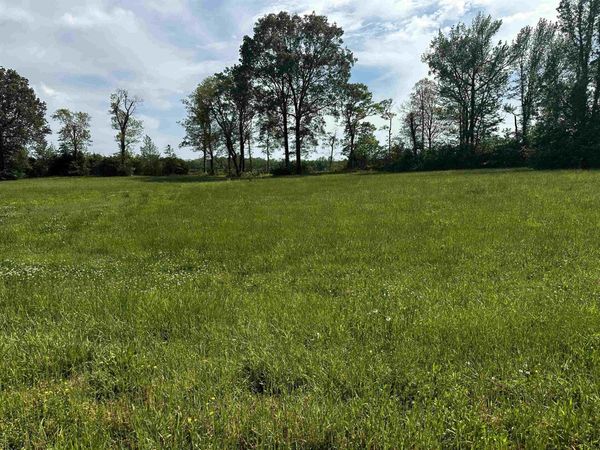 LOT 29 CATFISH LN, Crump, TN 38327