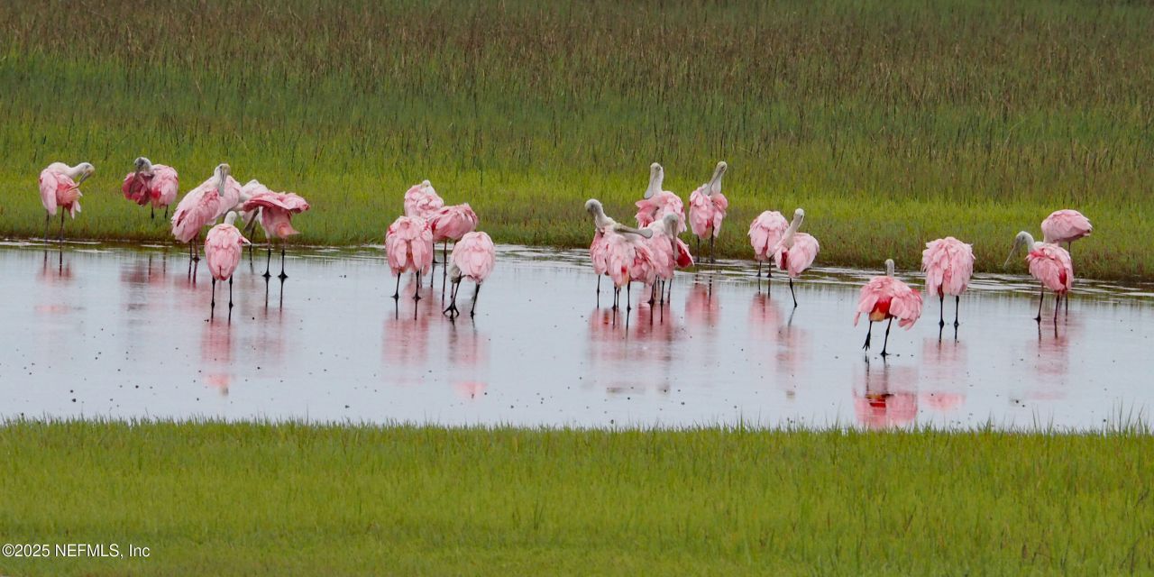 1107 Beach Walker Road, Unit 1107, Amelia Island, FL 32034 Photo