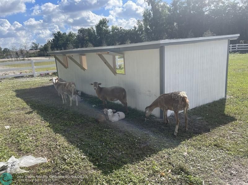 4680 SW 148 Ave, Southwest Ranches, FL 33330 Photo