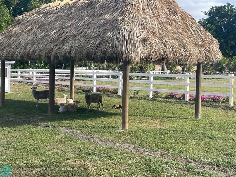 4680 SW 148 Ave, Southwest Ranches, FL 33330 Photo