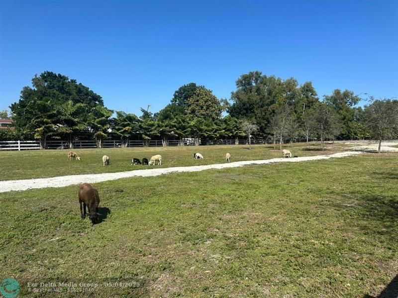 4680 SW 148 Ave, Southwest Ranches, FL 33330 Photo