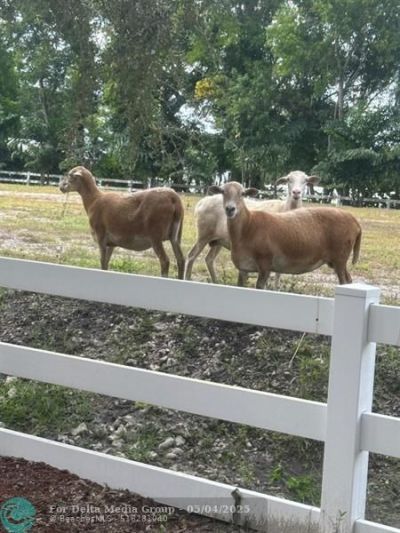 4680 SW 148 Ave, Southwest Ranches, FL 33330 Photo