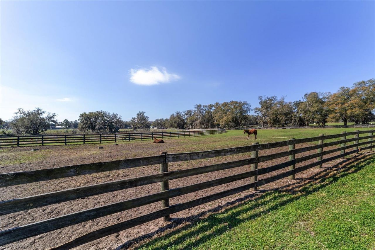 13855 NW 27th Avenue, Citra, FL 32113 Photo