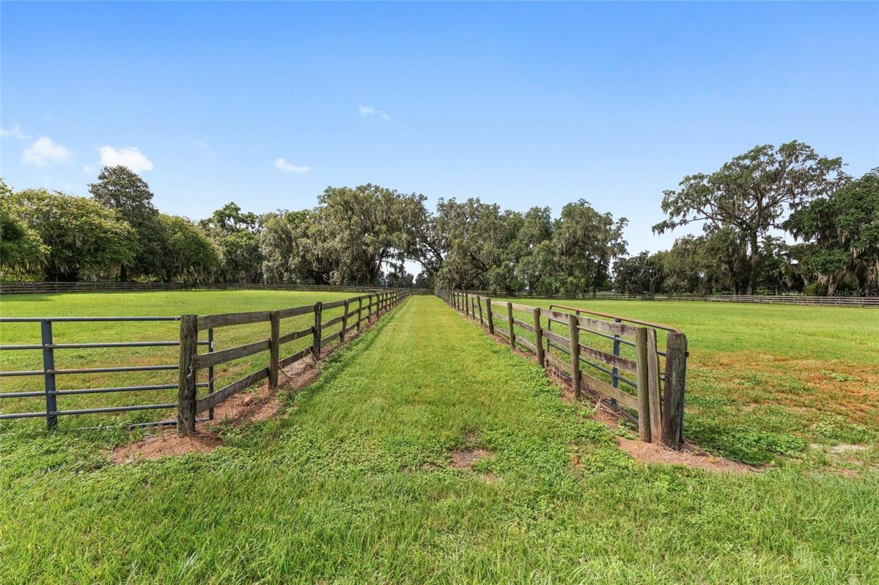 13855 NW 27th Avenue, Citra, FL 32113 Photo