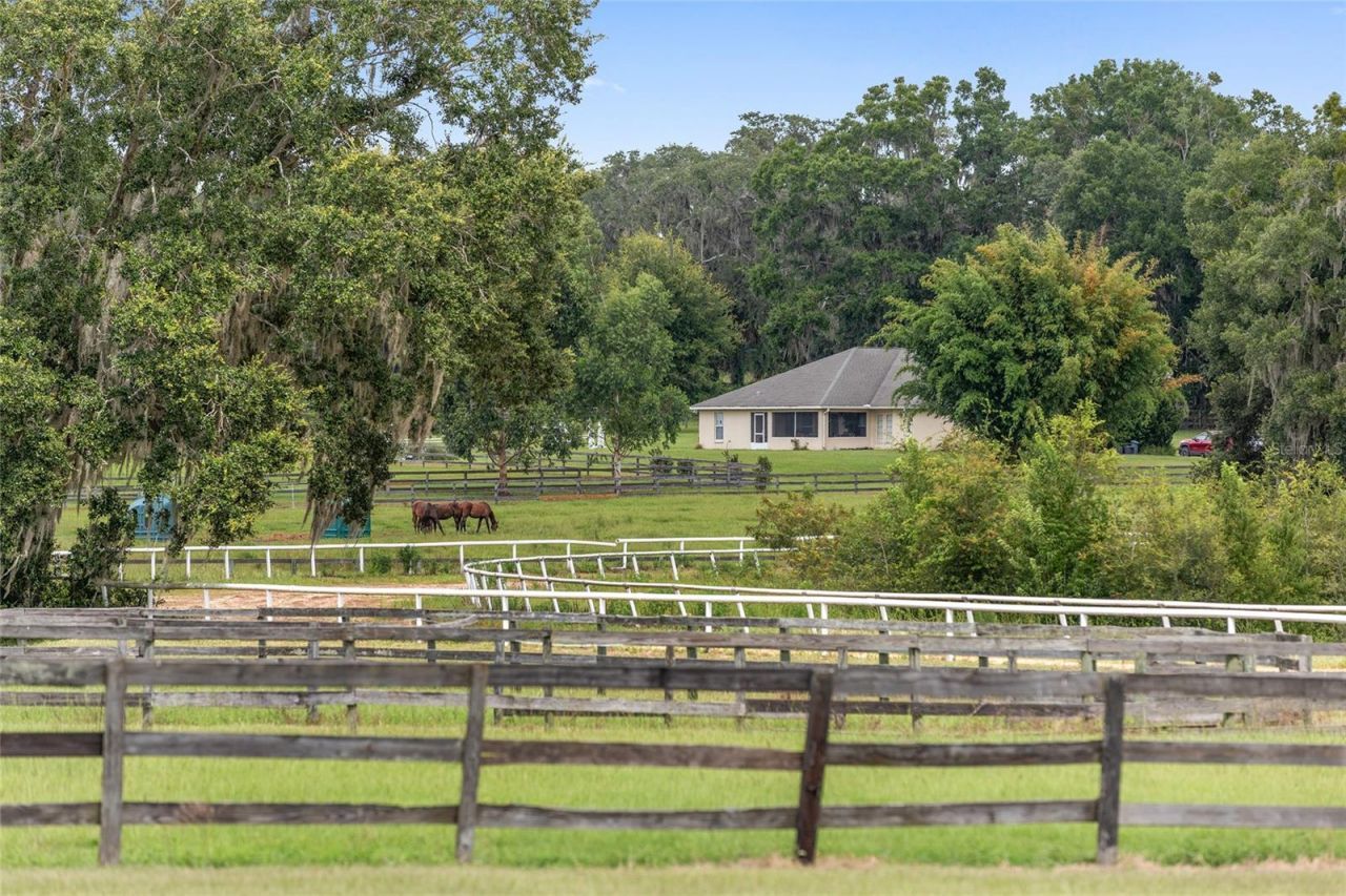 13855 NW 27th Avenue, Citra, FL 32113 Photo