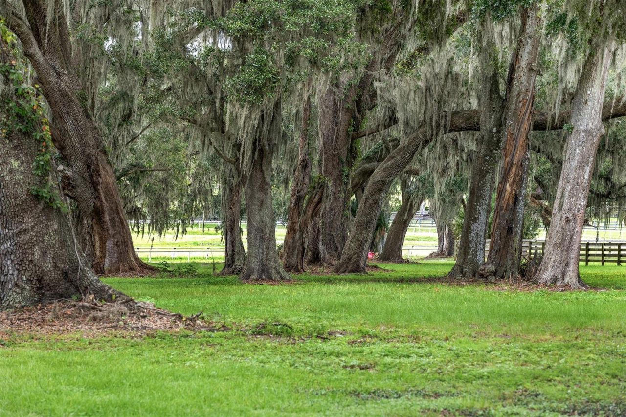 13855 NW 27th Avenue, Citra, FL 32113 Photo