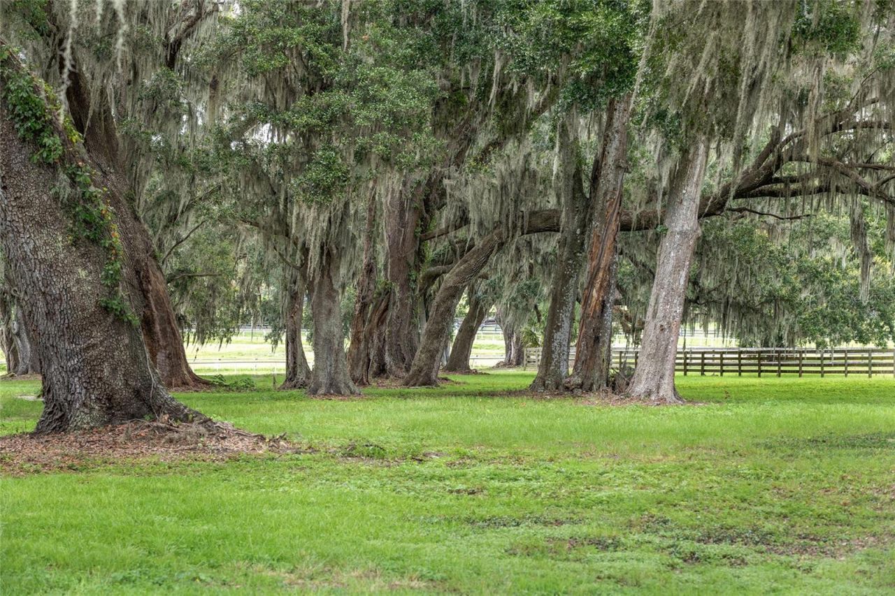 13855 NW 27th Avenue, Citra, FL 32113 Photo