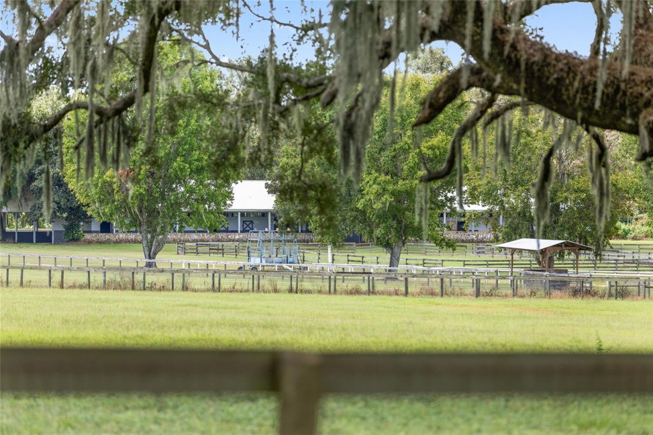 13855 NW 27th Avenue, Citra, FL 32113 Photo