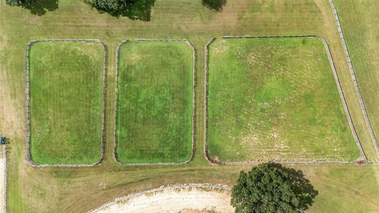 13855 NW 27th Avenue, Citra, FL 32113 Photo