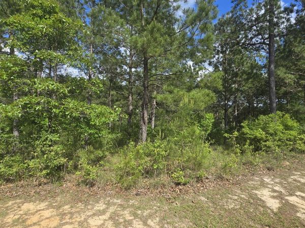 Mellie Lane, Leakesville, MS 39451