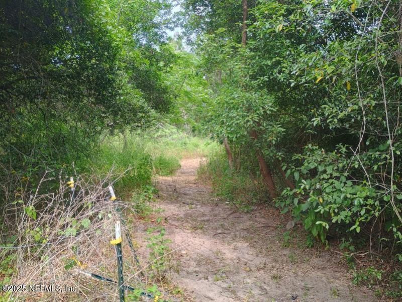 341 College Drive, Unit C, Orange Park, FL 32065 Photo