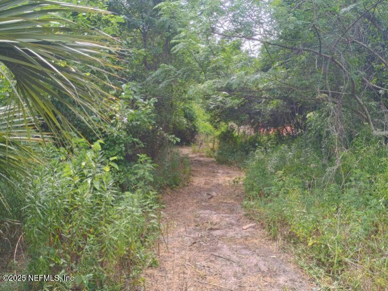 341 College Drive, Unit C, Orange Park, FL 32065 Photo