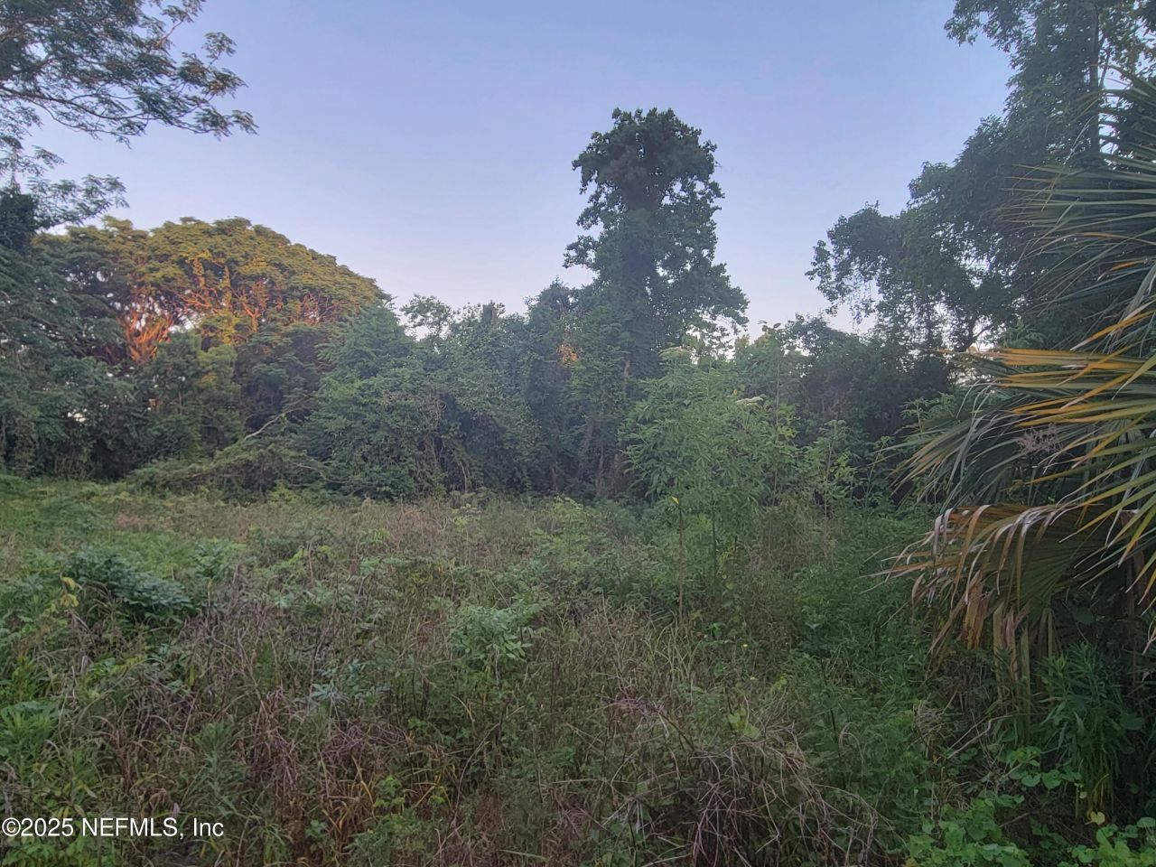 341 College Drive, Unit C, Orange Park, FL 32065 Photo