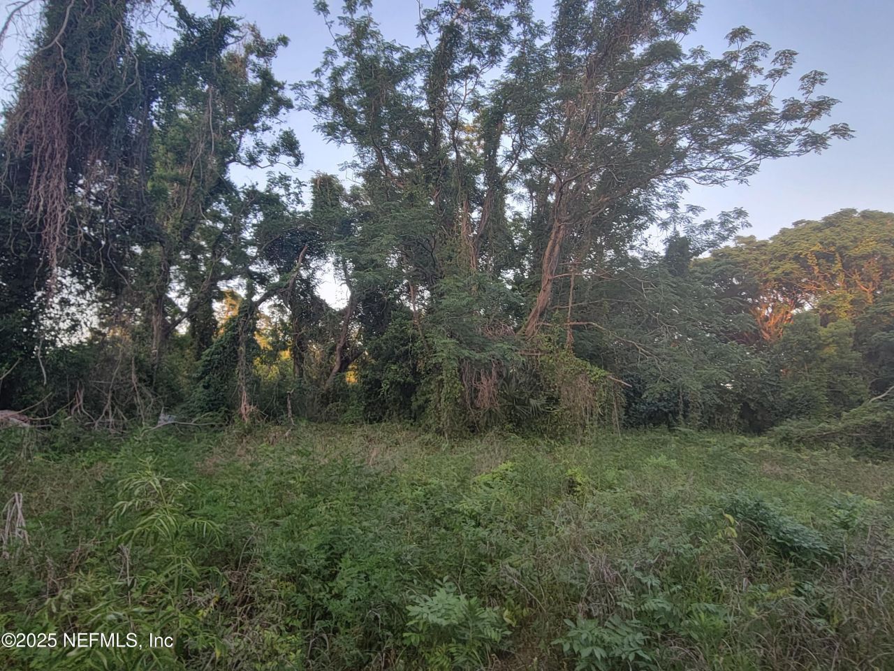 341 College Drive, Unit C, Orange Park, FL 32065 Photo