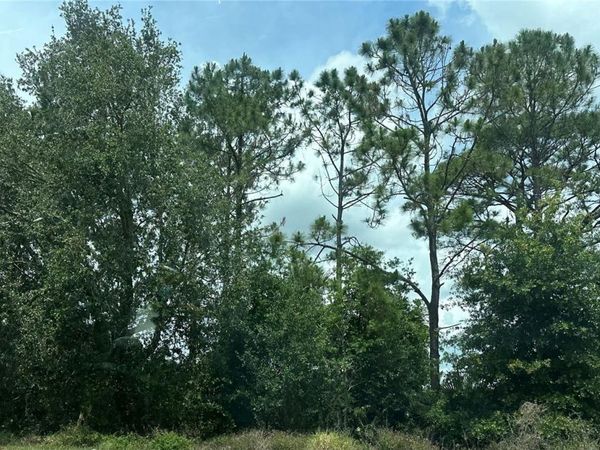 SR-535, ORLANDO, FL 32821